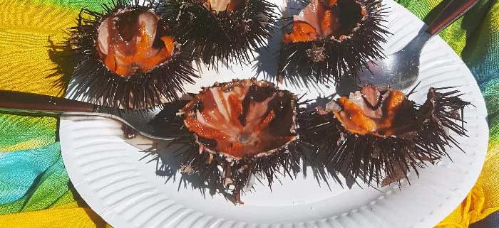 Gratinated sea urchin